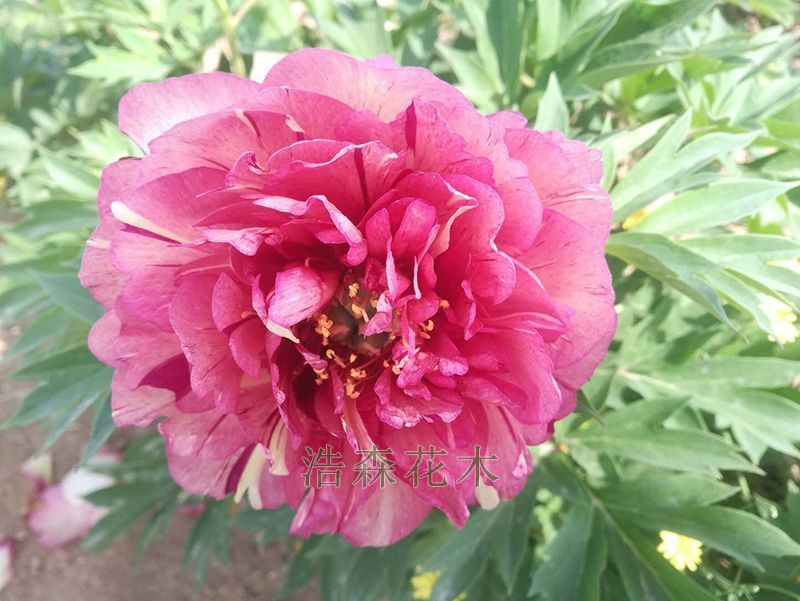 熱烈祝賀網(wǎng)站正式改版運營